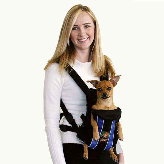 strap on dog carrier